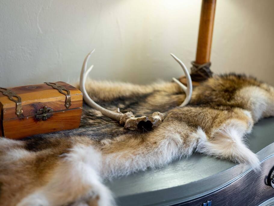 Stonegate Lodge Bear'S Den Kitchen, Pool, Firepit, Wifi ,Smart Tvs Eureka Springs Extérieur photo
