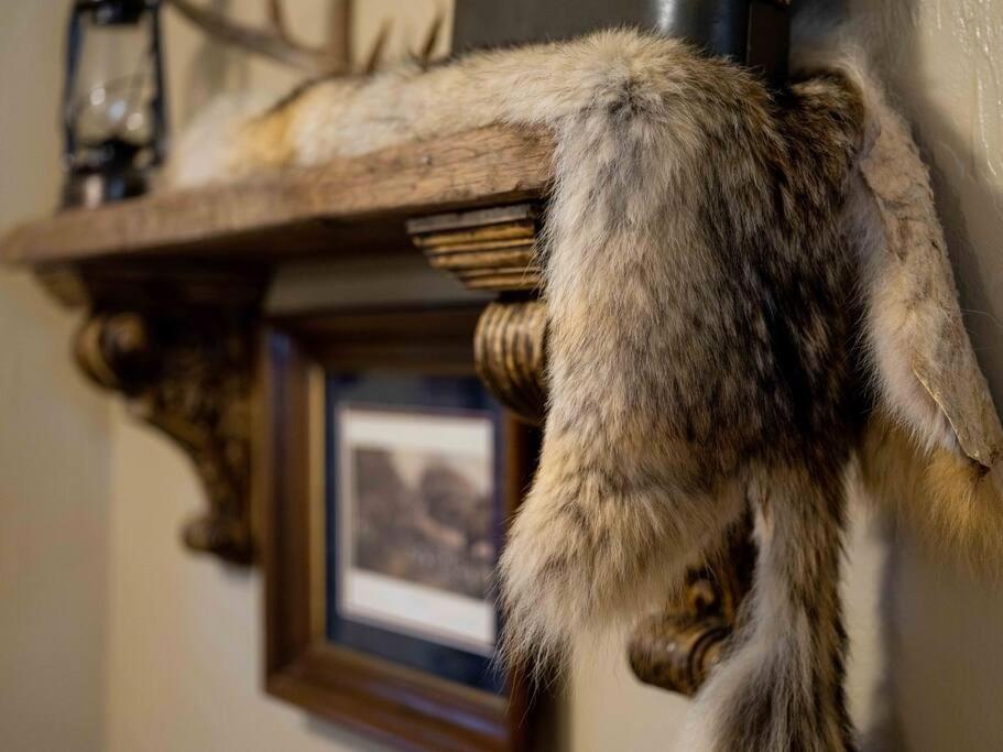 Stonegate Lodge Bear'S Den Kitchen, Pool, Firepit, Wifi ,Smart Tvs Eureka Springs Extérieur photo